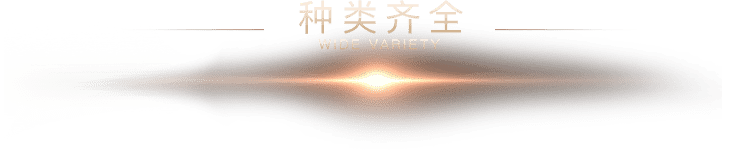 类型标题